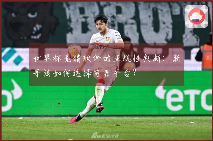 世界杯竞猜软件的正规性判断：新手该如何选择可靠平台？