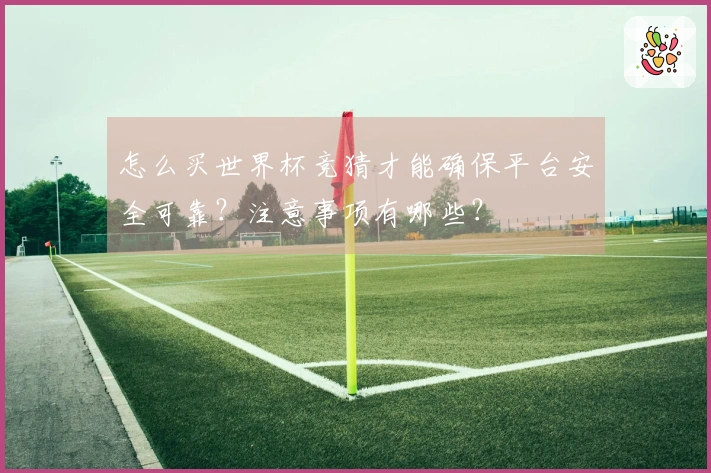 怎么买世界杯竞猜才能确保平台安全可靠？注意事项有哪些？