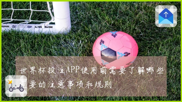 世界杯投注APP使用前需要了解哪些重要的注意事项和规则